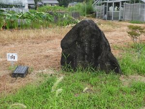 富田201901-Nara-009-f.jpg