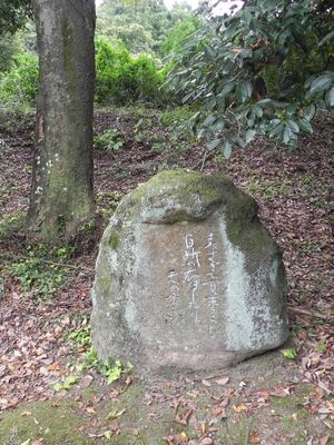 富田201901-Nara-078A-f.jpg