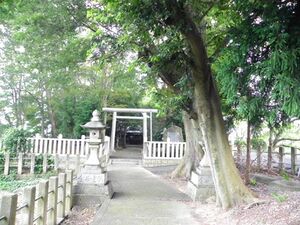 河俣神社・雲梯の森