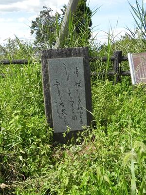 富田201901-Nara-082-f.jpg