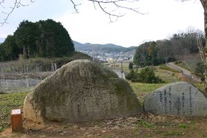 富田201901-Nara-174-f.jpg